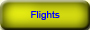 flight information